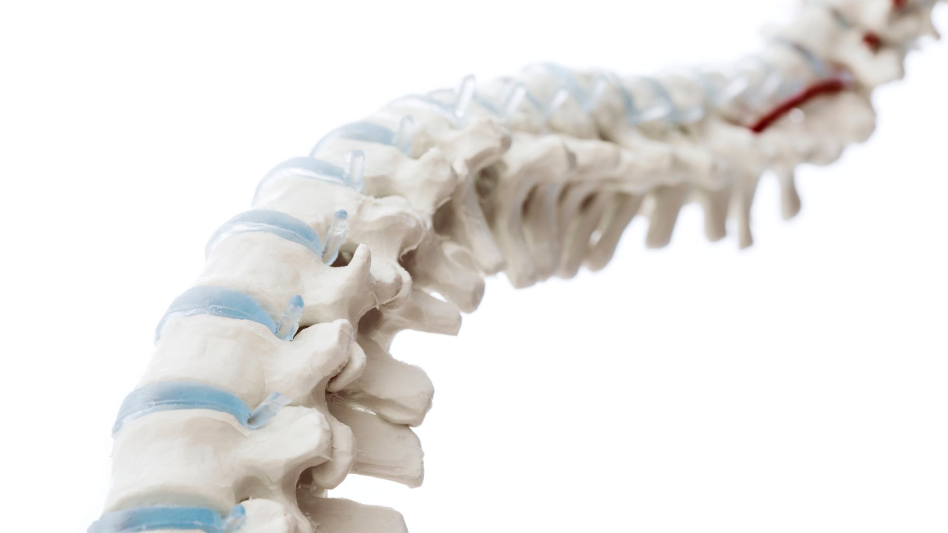 Orthopädie